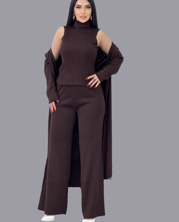 Hight Neck/Polo Neck 3 Piece Woolen Coord Set(Suitable For L-XXL)
